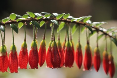 惠州惠东8私人快速借钱网，轻松解决资金难题
