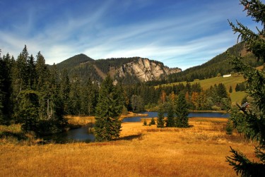 惠州惠东8民间私贷攻略：揭秘低成本借贷的秘密