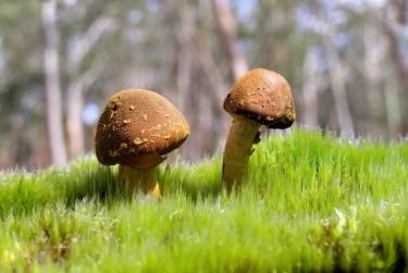 惠州惠东8私人老板放款：轻松融资的秘密通道